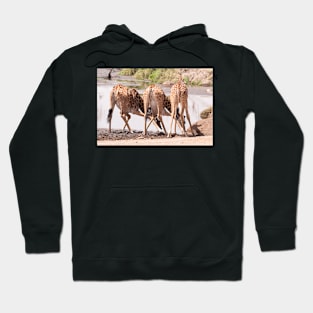 Serengeti Giraffe #9 Hoodie